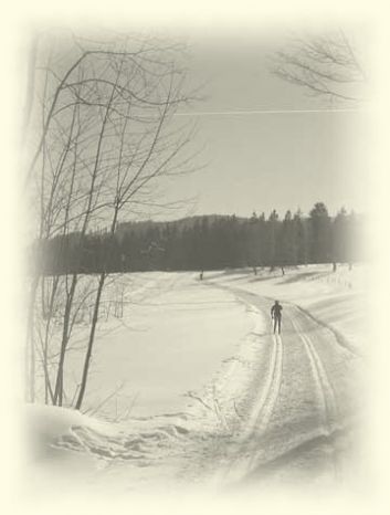 Cross-country skiing